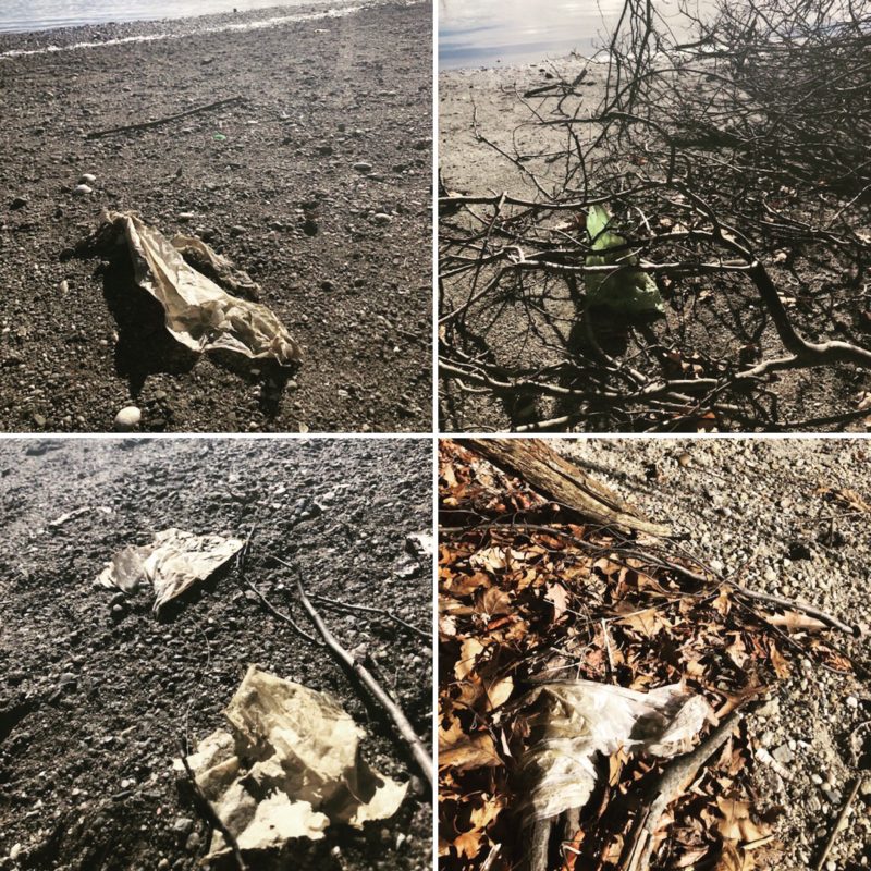 Plastic litter blanketing a local beach.