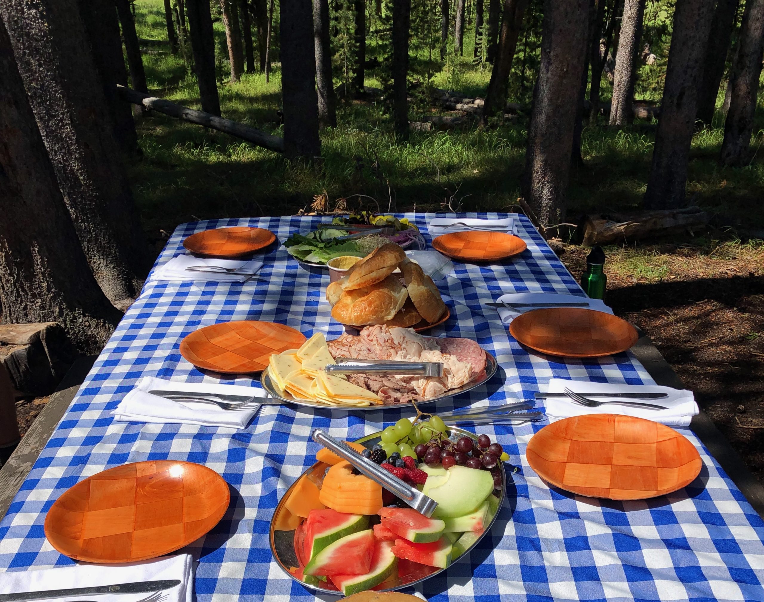 Even a picnic lunch - using reusable tableware and linens - can be convenient and free of disposables.