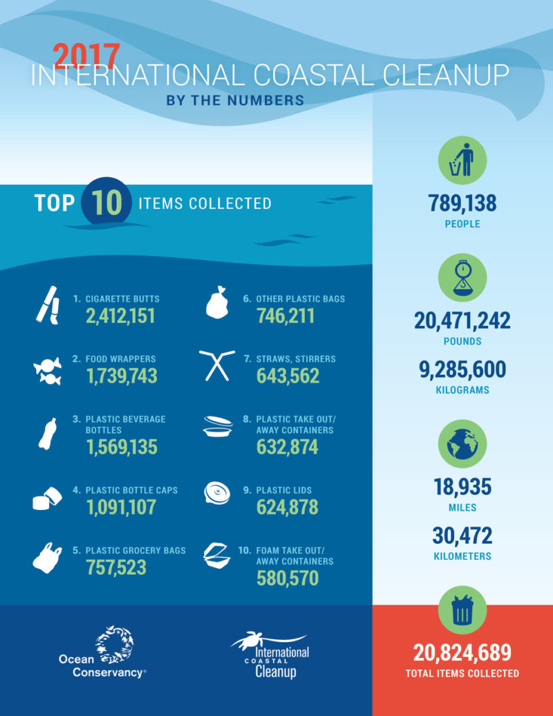 This infographic provides a clear visual of the plastic straw pollution problem.