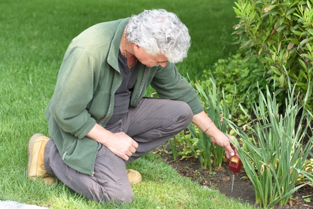 Soil testing is a simple and natural way to determine the health of your soil. 