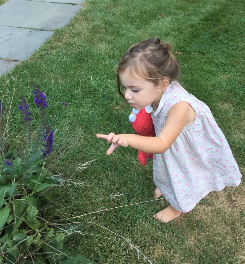 Using natural pesticides means a healthy and safe yard for all.