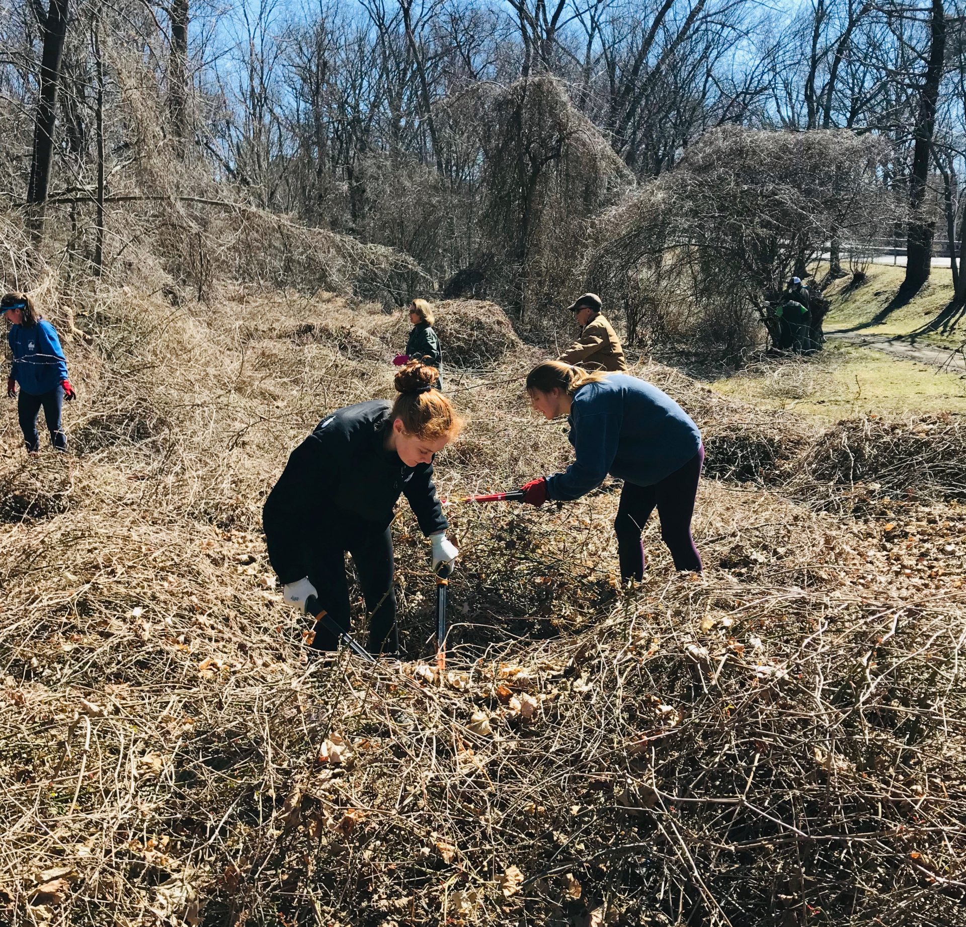 Easy Earth Day Tips for 2021 to Make Every Day a Green Day ...