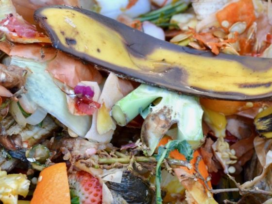 Food waste is a bigger problem than we think