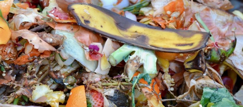 Food waste recycling is one way to mitigate our food waste problem.