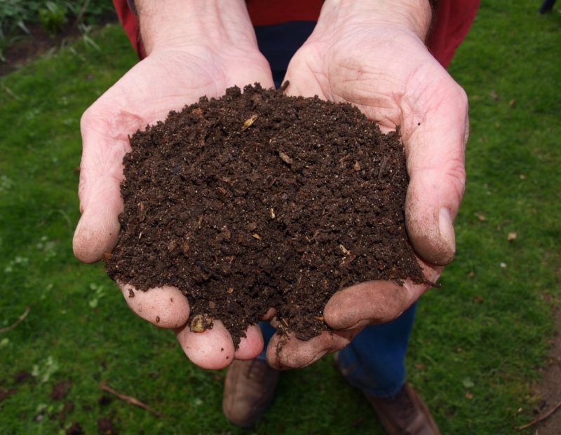 Compostable products should degrade into nutrient-rich soil.