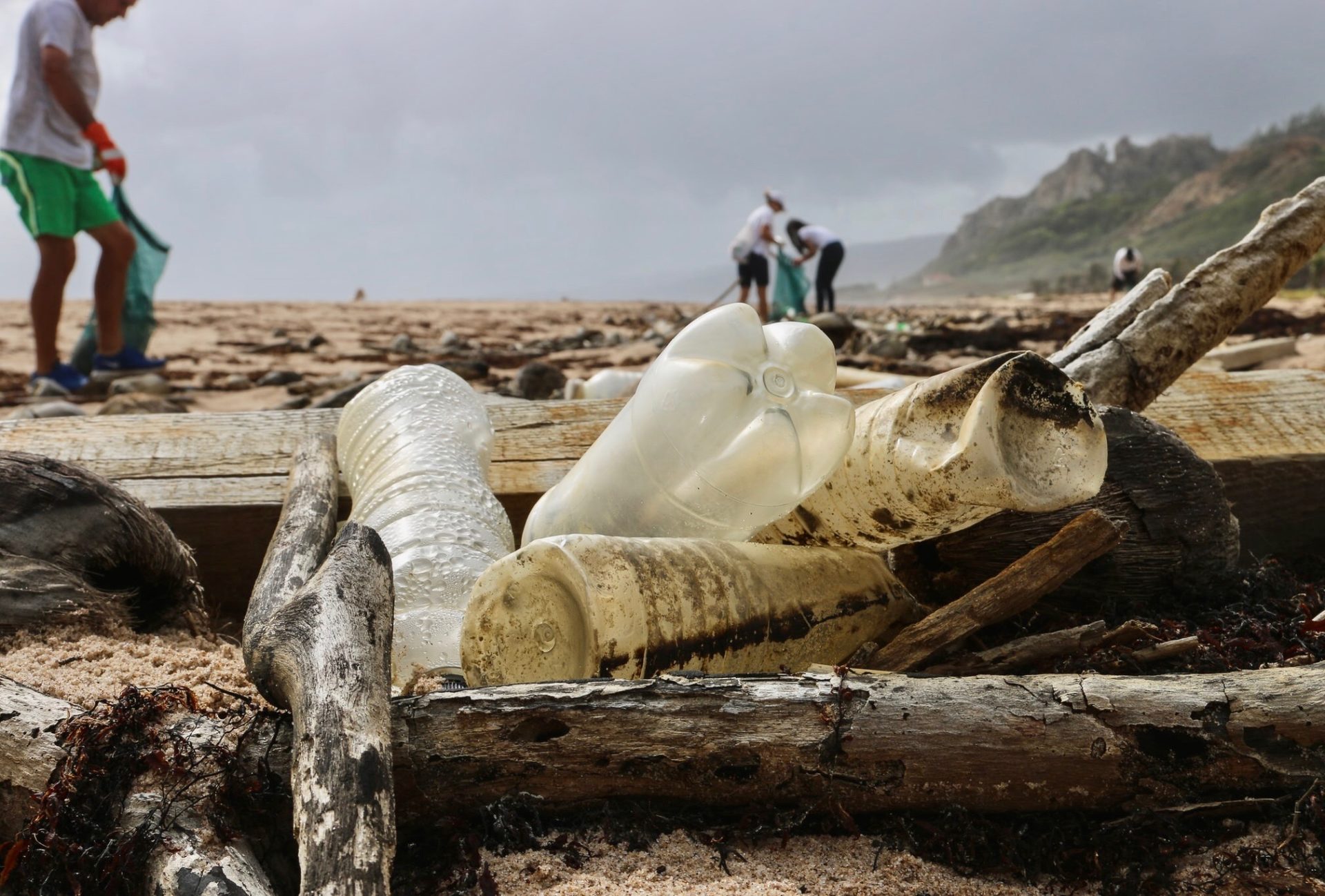 3 Surprising Greenwashing Examples You Should Know About Green That Life