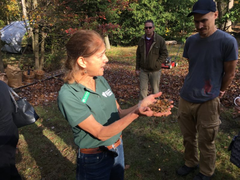 Explaining the benefits of leaf mulching at a demo.