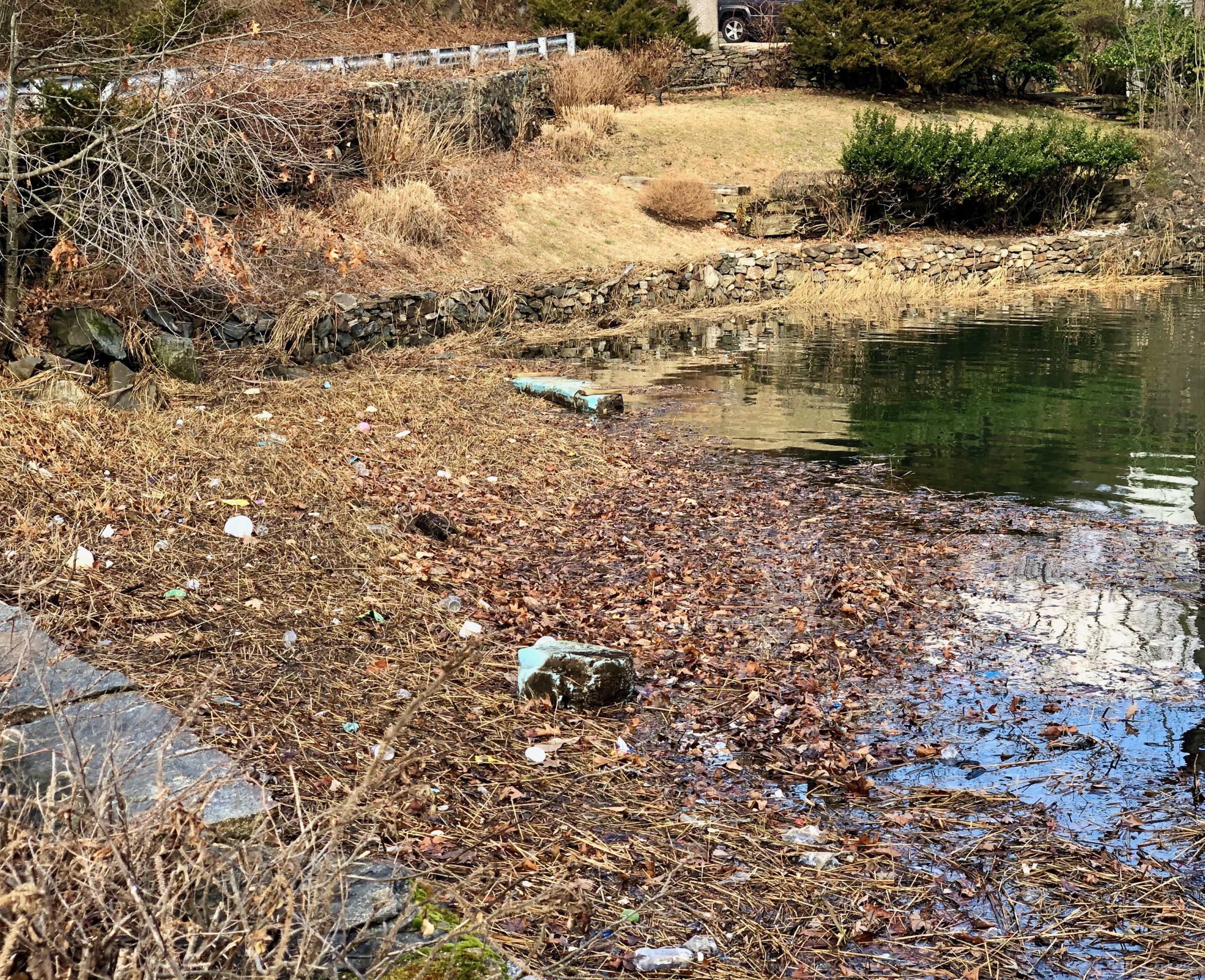 The need for extended producer responsibility: plastic pollution is everywhere, even my hometown.