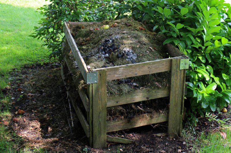 To reduce food waste, try composting!
