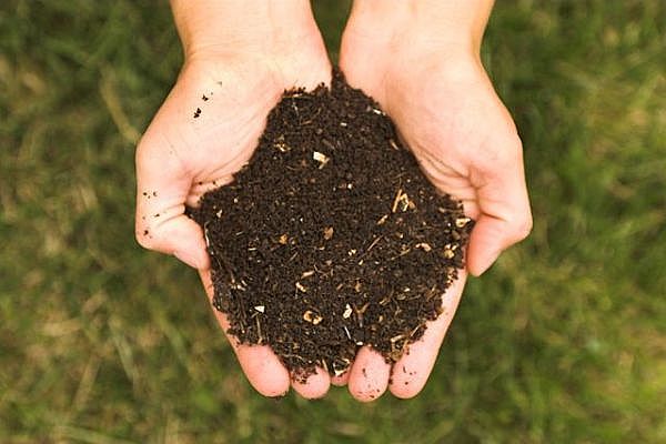 Compost your food and you'll be rewarded with nutrient-rich soil!
