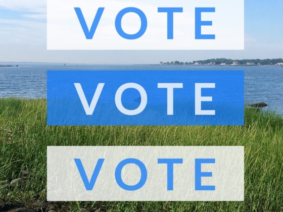 Vote for the Planet! Here's how.