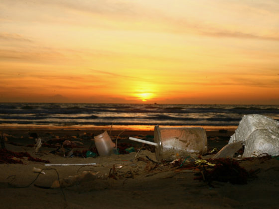 Will chemical recycling solve our plastic pollution crisis?