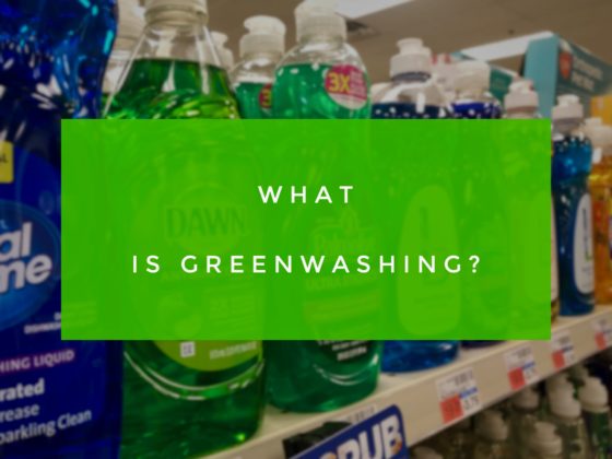 Find out what is greenwashing and how to avoid it.
