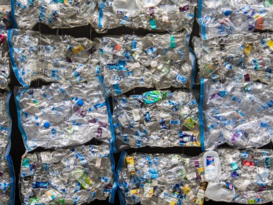 Is the recycling industry the most effective tool for tackling plastic waste and pollution?