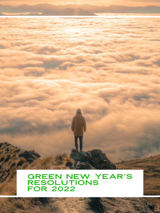 Make 2022 a Green New Year!