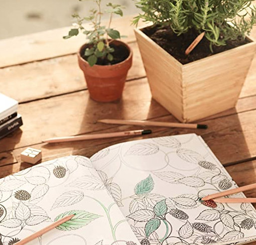 Best Eco Friendly Gifts: Sprout Plantable Pencils