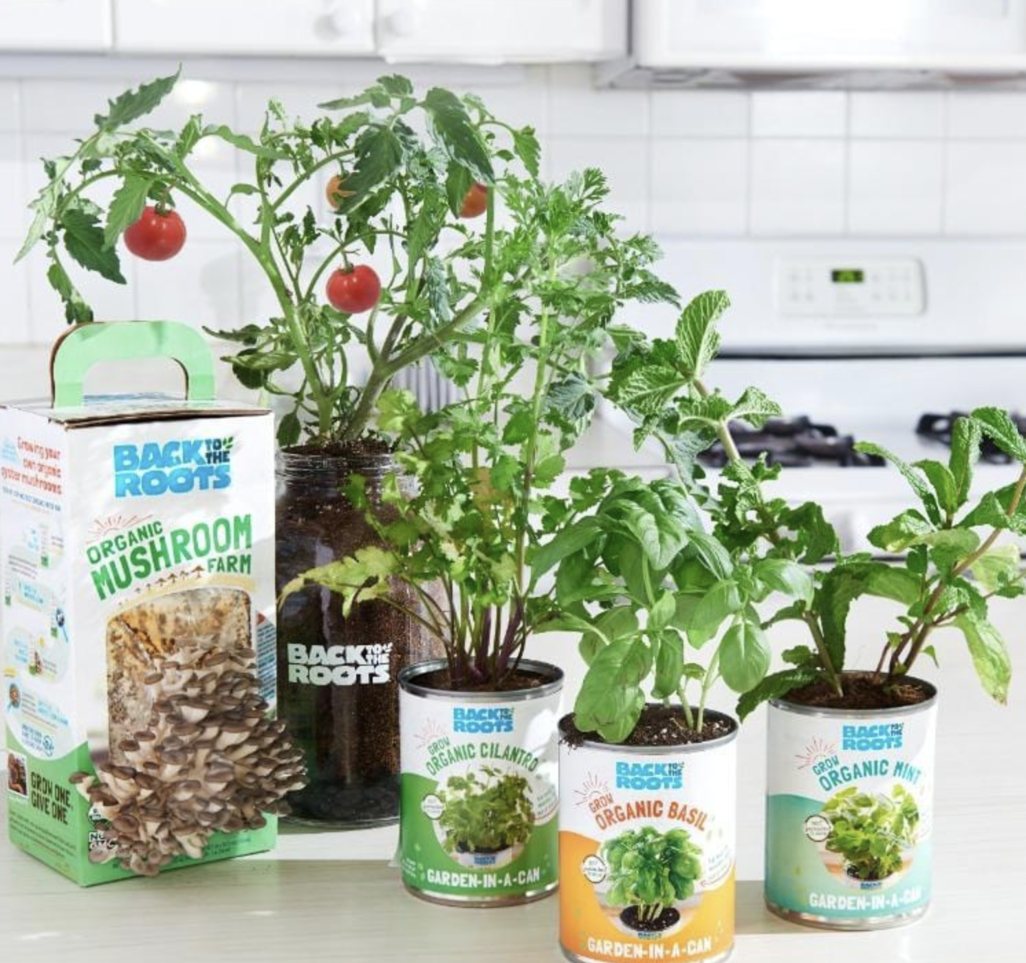 Best Eco Friendly Gifts: Indoor Gardening Essentials Bundle