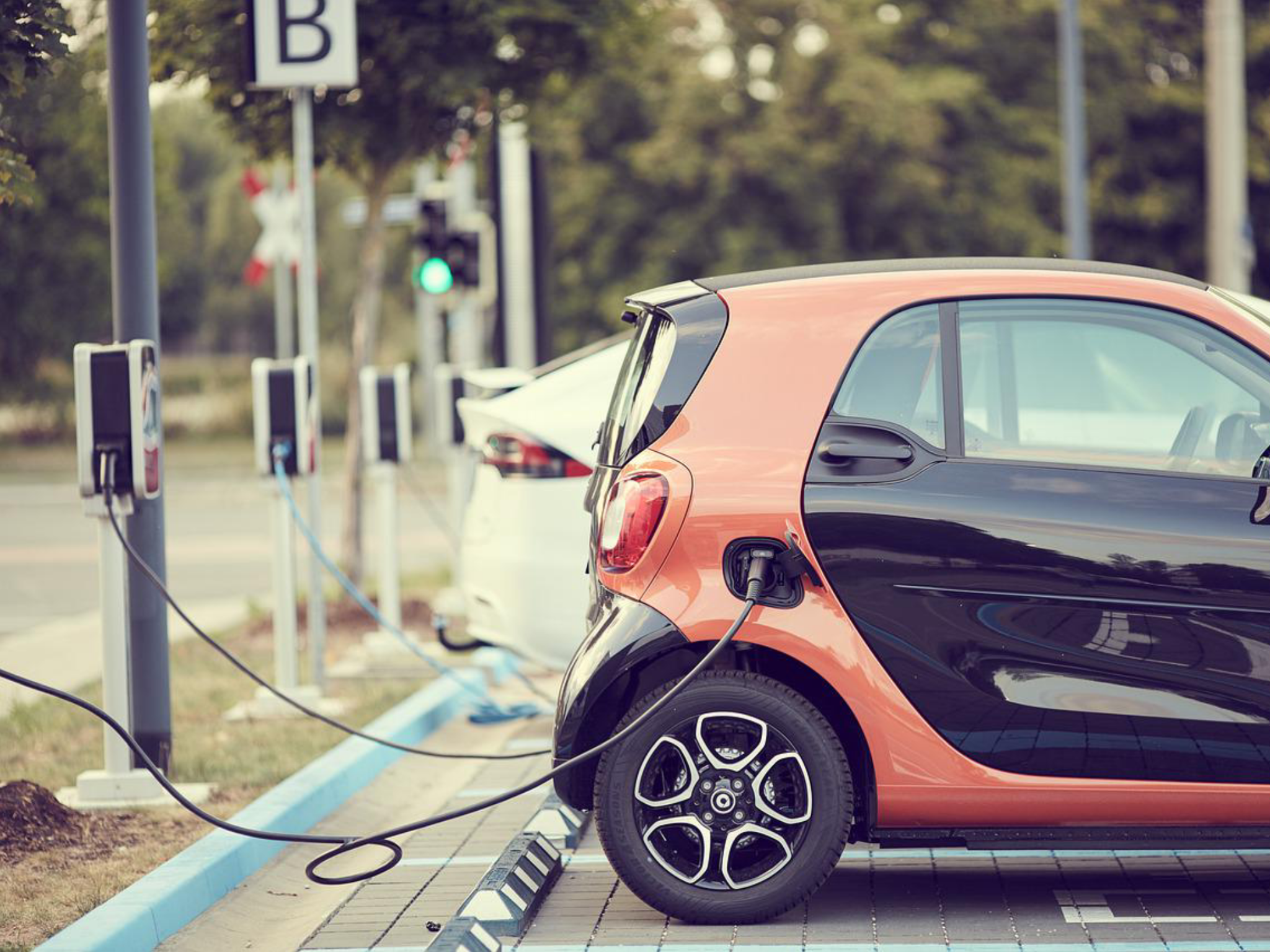 Reduce energy use by making your next car an electric one. 