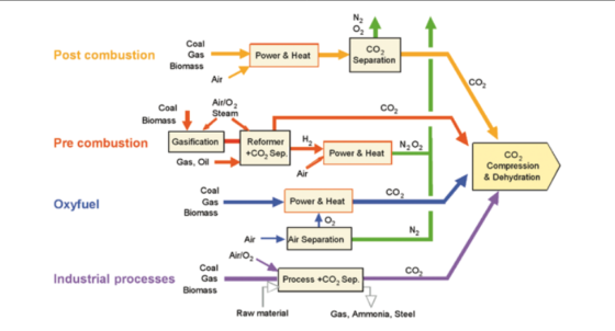 Essential Green Terms and Phrases - Green That Life